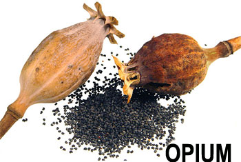 picture of opium